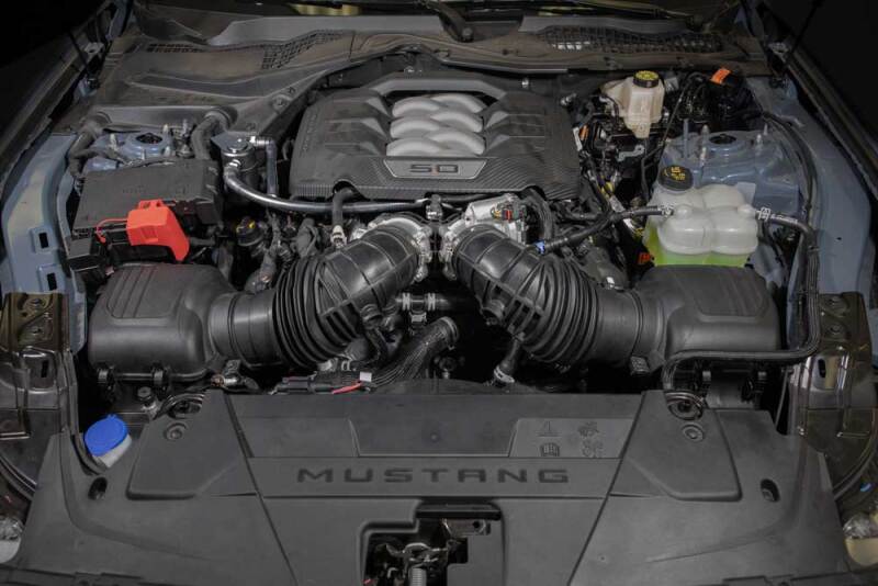 Ford Mustang Catch Can - K&N Engineering - Air Oil Separator - `24-`27